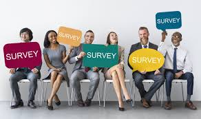 Survey Techniques And Practical Applications Master Course
